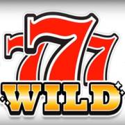 1 Reel Classic: Wild