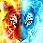 Символ Тигр в Blaze and Frost