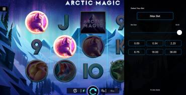 Arctic Magic: Ставки