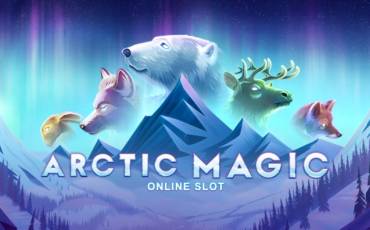 Игровой автомат Arctic Magic