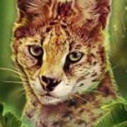 Big Cat Rescue Megaways: Рысь