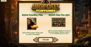 Bigfoot Fortunes: Интерфейс