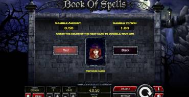 Book of Spells: Риск-игра