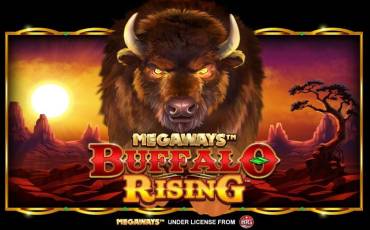 Игровой автомат Buffalo Rising Megaways All Action