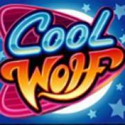 Cool Wolf: Бонусный символ