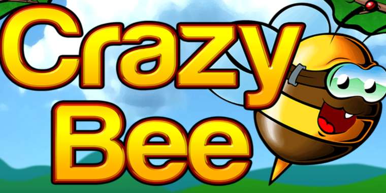 Слот Crazy Bee играть бесплатно