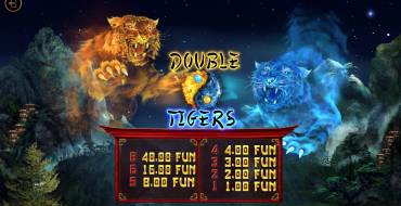 Double Tigers: Таблица выплат