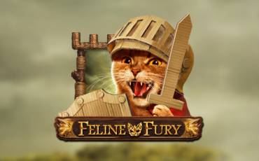 Feline Fury