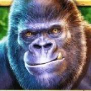 Gorilla Mayhem: Горилла