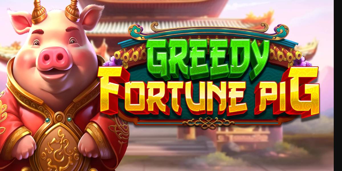 Greedy Fortune Pig