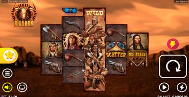 Little Bighorn: Игровой автомат