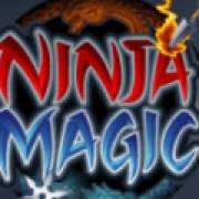 Ninja Magic: Wild