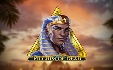 Игровой автомат Pilgrim of Dead