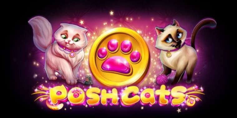 Слот Posh Cats играть бесплатно