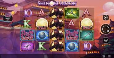 Shinobi Moon: Игровой автомат