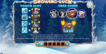 Snowing Luck: Бонусы