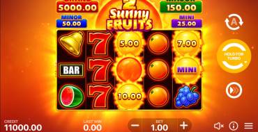 Sunny Fruits 2: Hold and Win: Игровой автомат