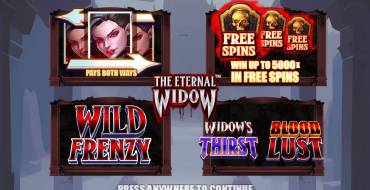 The Eternal Widow: Уникальные функции