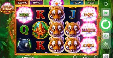 Tiger Jungle Hold and Win: Игровой автомат