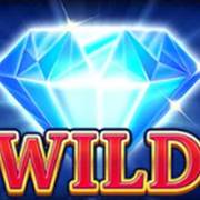 Treasure Vault: Wild