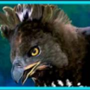 Untamed Crowned Eagle: Орел