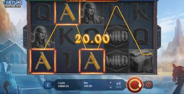 Viking Fortune: Hold and Win: Выплаты