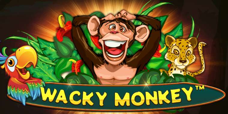 Слот Wacky Monkey играть бесплатно
