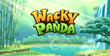 Wacky Panda: Особенности