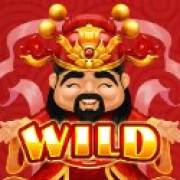 Wealth Inn: Символ Wild