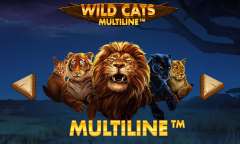 Онлайн слот Wild Cats Multiline играть
