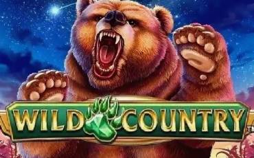 Игровой автомат Wild Country