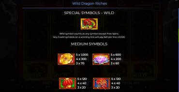 Wild Dragon Riches: Таблица выплат