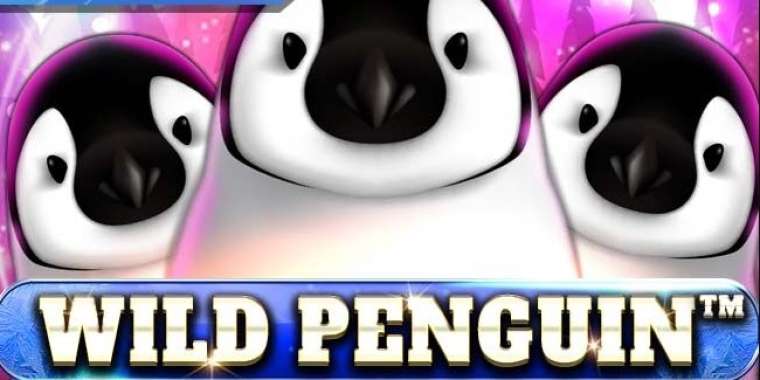 Слот Wild Penguin играть бесплатно