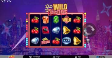 Wild Vegas: Интерфейс