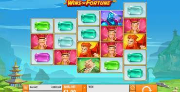 Wins of Fortune: Интерфейс игры