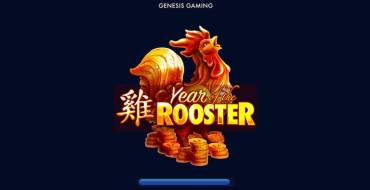 Year of the Rooster: Тематика